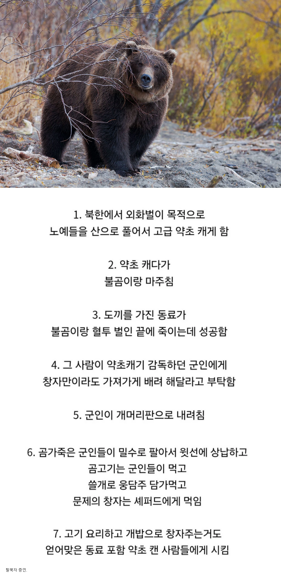 Screenshot 2025-06-08 at 14-42-00 북한에서 불곰을 죽인 결과.jpg.png