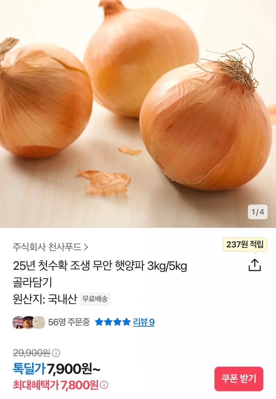 [톡딜] 25년 첫수확 조생 무안 햇양파 (7,800원/무료)1