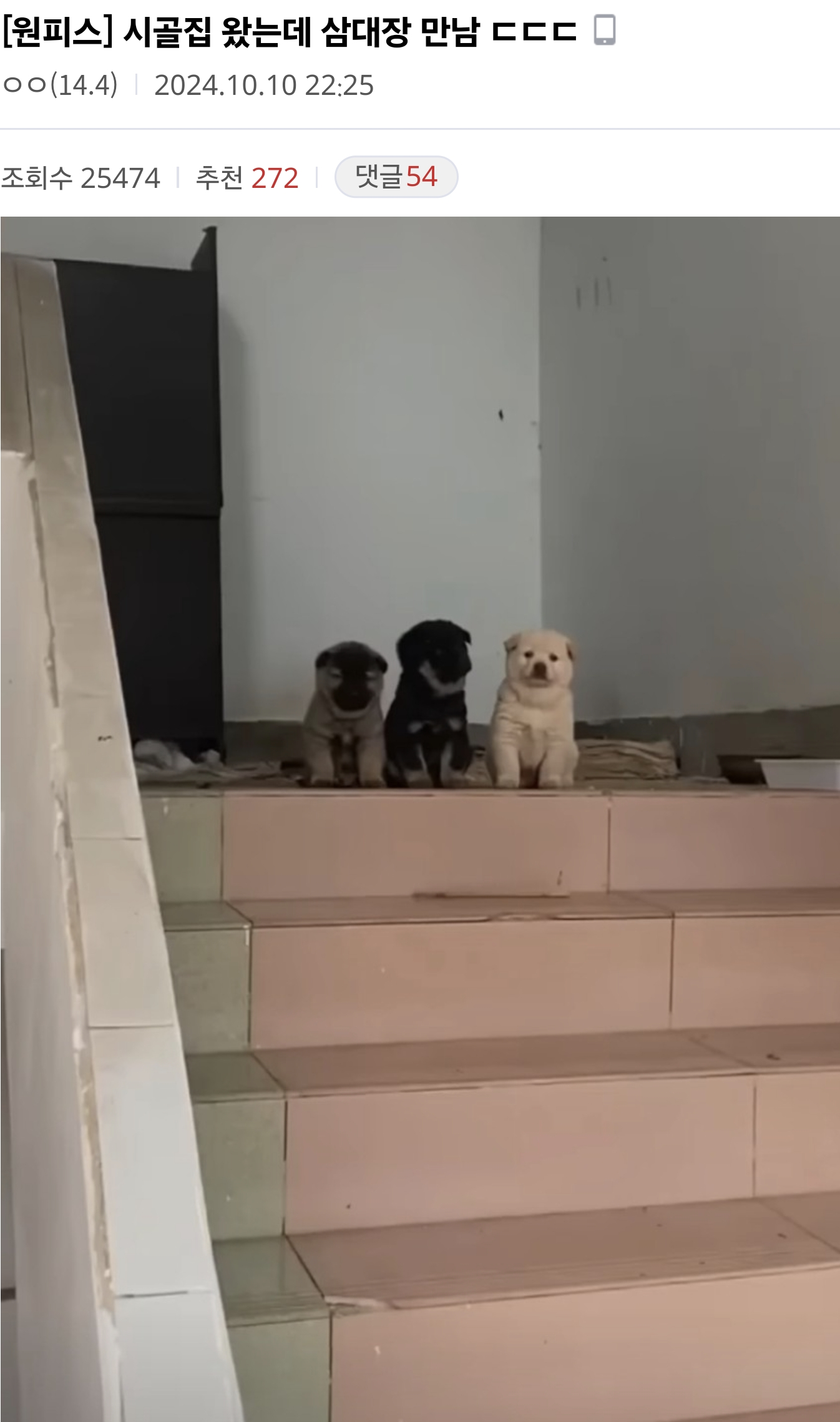삼대장.png